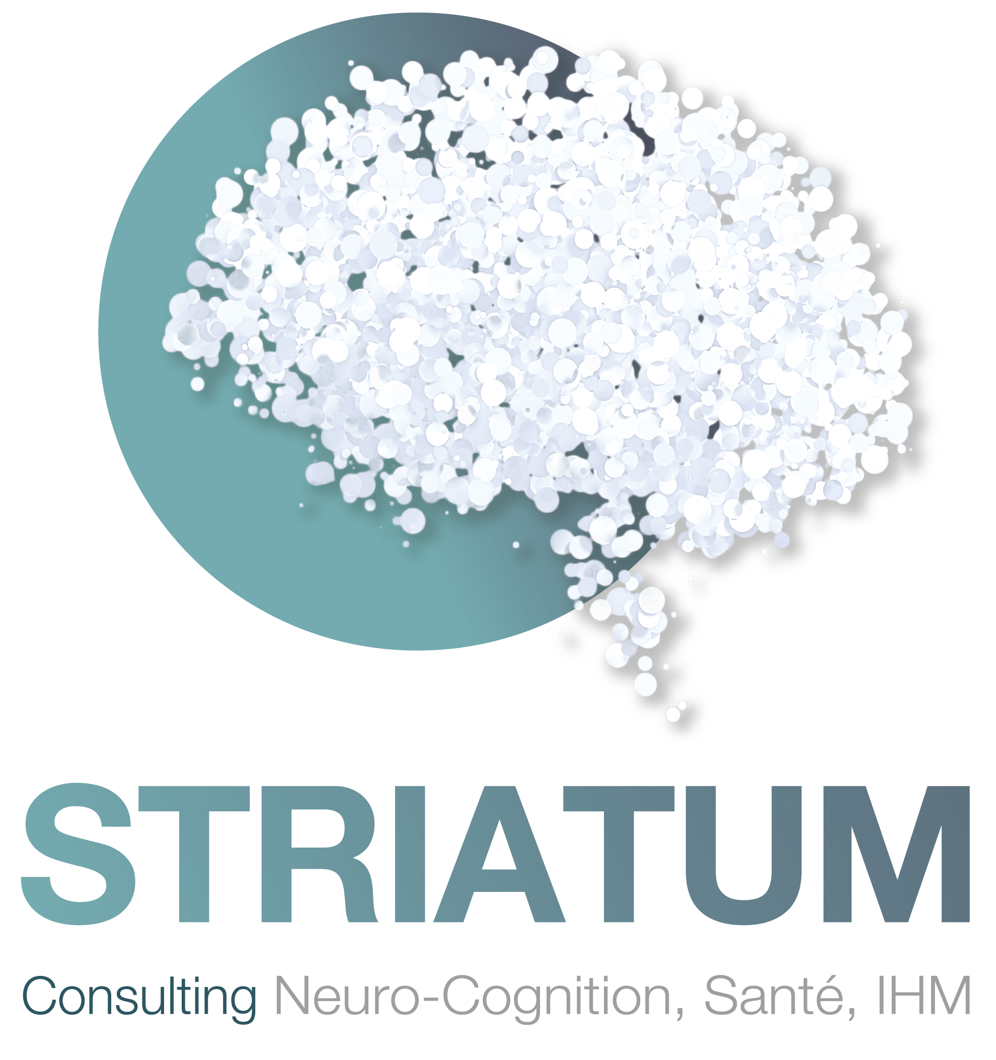 Logo Striatum Consulting